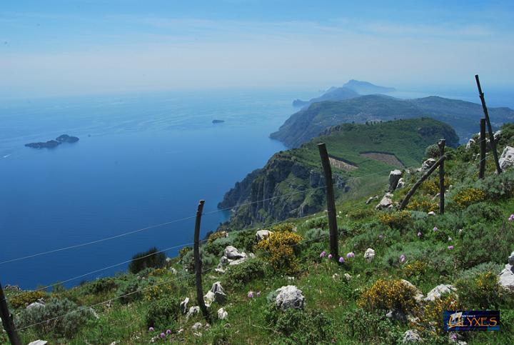 panorama dal monte comune.JPG